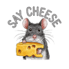 Teen girl oversized graphic t-shirt with 'Say Cheese' design – streetwear style by YoungnCool.